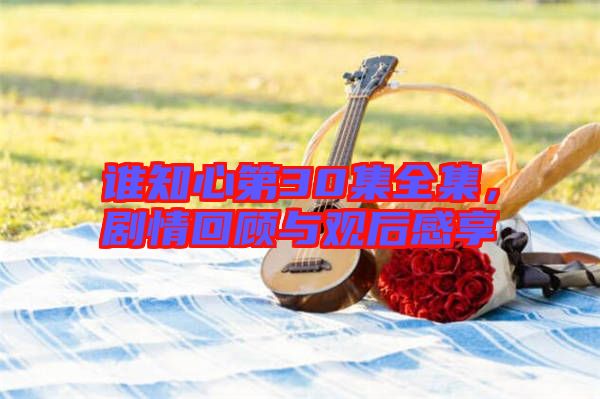 誰知心第30集全集，劇情回顧與觀后感享
