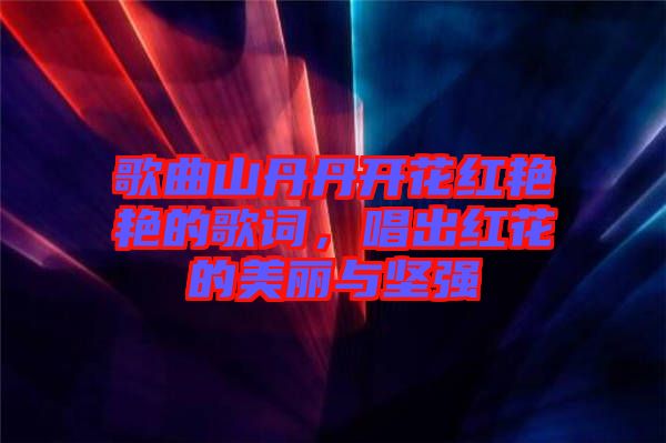 歌曲山丹丹開花紅艷艷的歌詞，唱出紅花的美麗與堅強