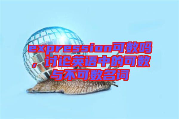 expression可數(shù)嗎，討論英語(yǔ)中的可數(shù)與不可數(shù)名詞