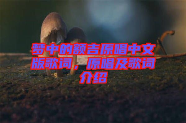 夢中的額吉原唱中文版歌詞，原唱及歌詞介紹