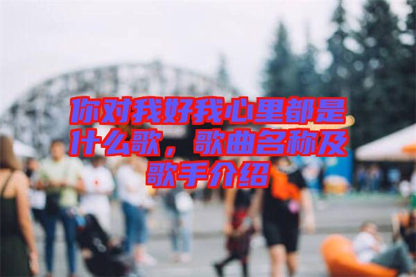 你對(duì)我好我心里都是什么歌，歌曲名稱及歌手介紹