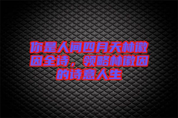 你是人間四月天林徽因全詩，領(lǐng)略林徽因的詩意人生