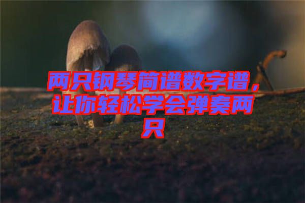 兩只鋼琴簡譜數字譜，讓你輕松學會彈奏兩只