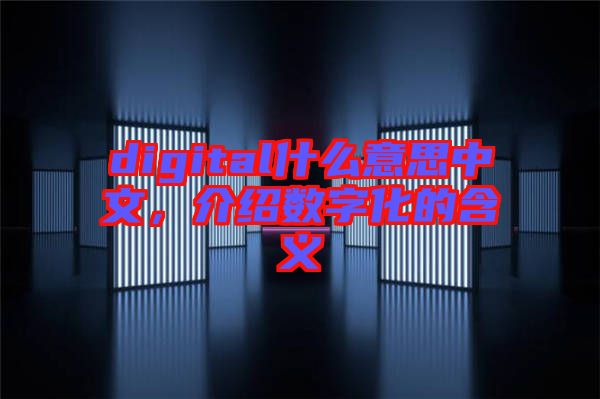 digital什么意思中文，介紹數字化的含義