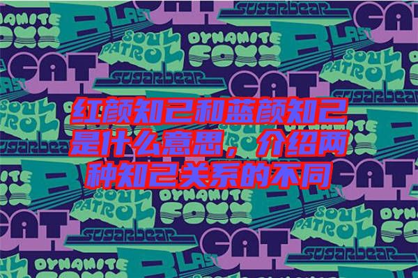 紅顏知己和藍顏知己是什么意思，介紹兩種知己關系的不同
