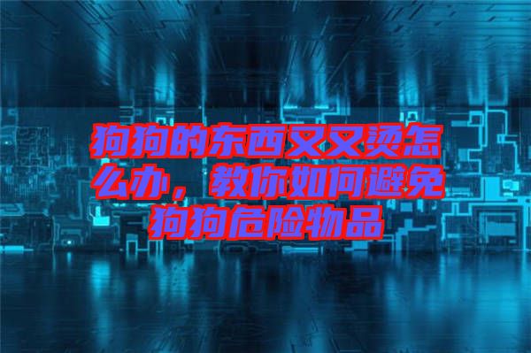 狗狗的東西又又燙怎么辦，教你如何避免狗狗危險物品