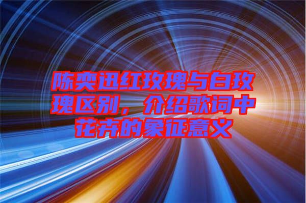 陳奕迅紅玫瑰與白玫瑰區(qū)別，介紹歌詞中花卉的象征意義