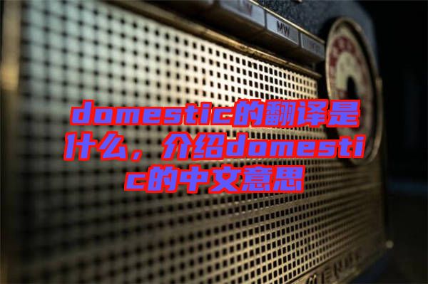 domestic的翻譯是什么，介紹domestic的中文意思