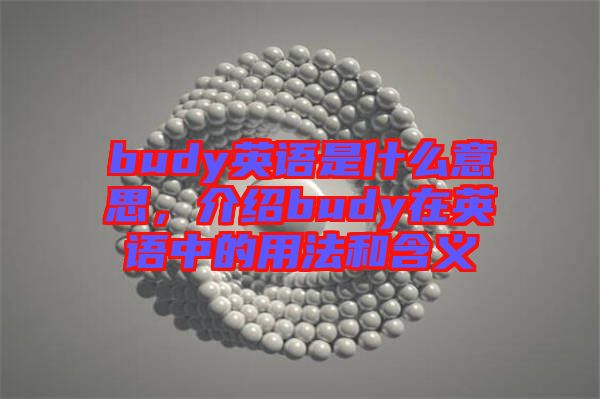 budy英語是什么意思，介紹budy在英語中的用法和含義