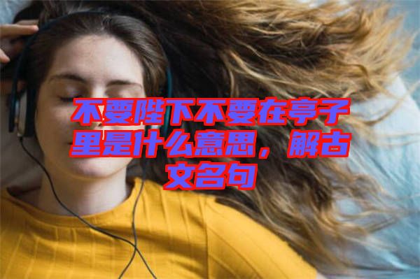 不要陛下不要在亭子里是什么意思，解古文名句