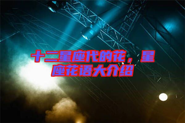 十二星座代的花，星座花語大介紹