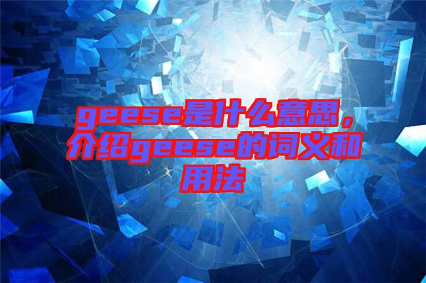 geese是什么意思，介紹geese的詞義和用法