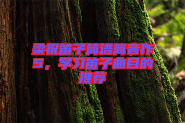 梁祝笛子簡譜筒音作5，學習笛子曲目的推薦