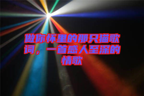 做你懷里的那只貓歌詞，一首感人至深的情歌