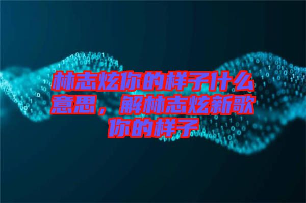林志炫你的樣子什么意思，解林志炫新歌你的樣子