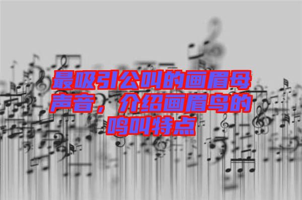 最吸引公叫的畫眉母聲音，介紹畫眉鳥的鳴叫特點