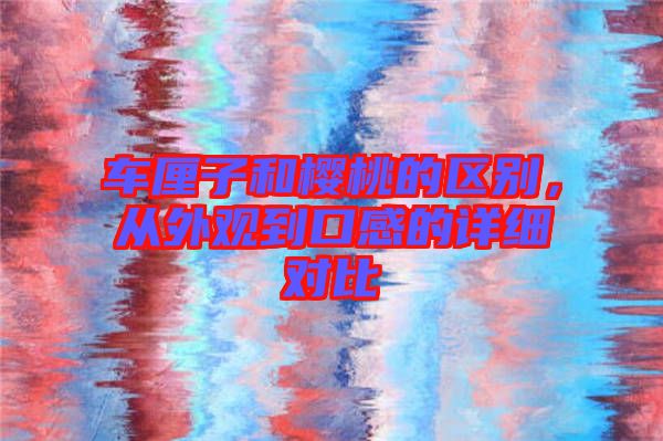 車厘子和櫻桃的區別，從外觀到口感的詳細對比