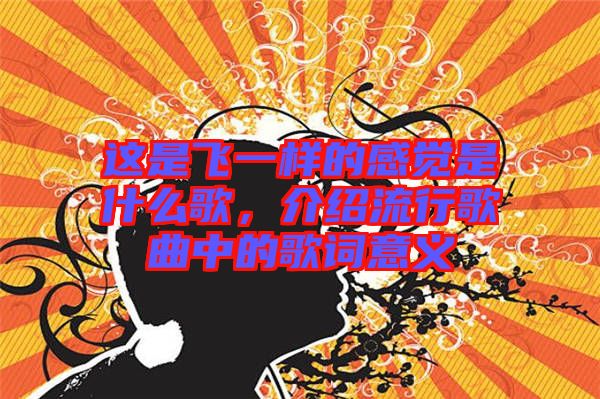這是飛一樣的感覺(jué)是什么歌，介紹流行歌曲中的歌詞意義