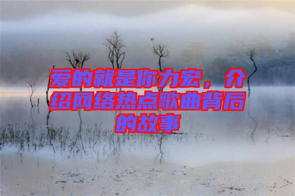 愛的就是你力宏，介紹網(wǎng)絡熱點歌曲背后的故事
