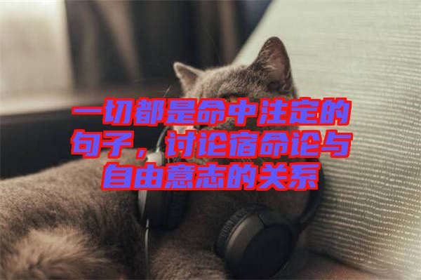 一切都是命中注定的句子，討論宿命論與自由意志的關(guān)系