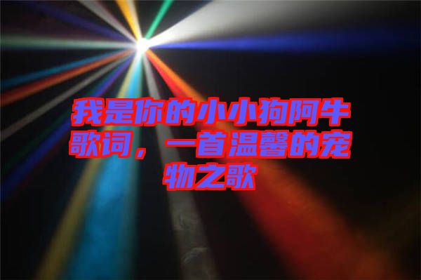 我是你的小小狗阿牛歌詞，一首溫馨的寵物之歌