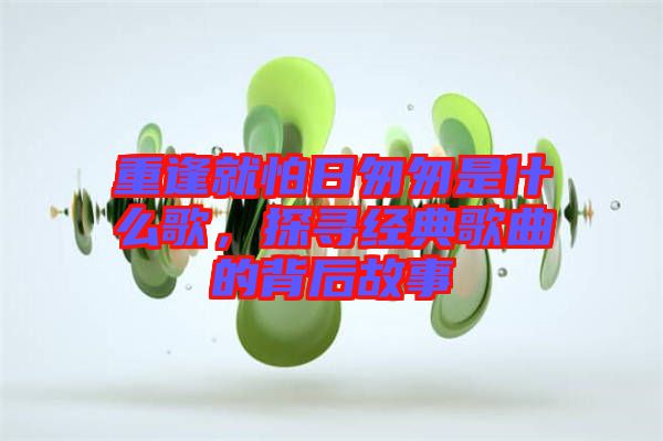 重逢就怕日匆匆是什么歌，探尋經典歌曲的背后故事