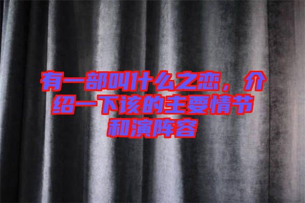 有一部叫什么之戀，介紹一下該的主要情節和演陣容