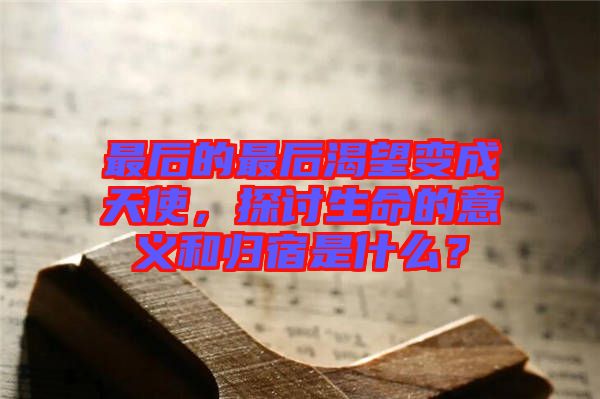 最后的最后渴望變成天使，探討生命的意義和歸宿是什么？