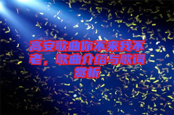 高安歌曲你不來(lái)我不老，歌曲介紹與歌詞賞析