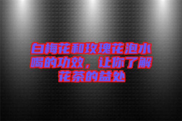 白梅花和玫瑰花泡水喝的功效，讓你了解花茶的益處