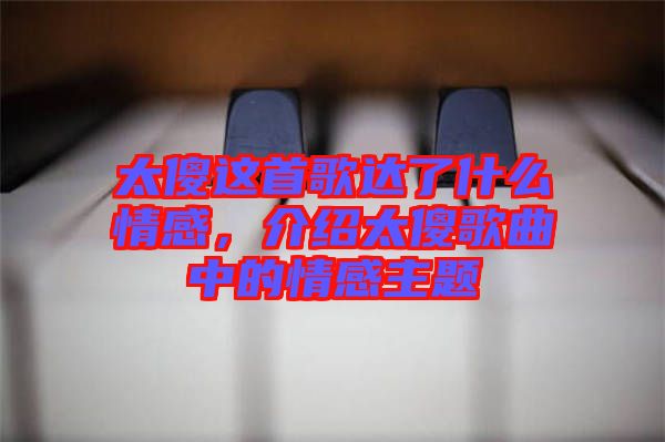太傻這首歌達了什么情感，介紹太傻歌曲中的情感主題