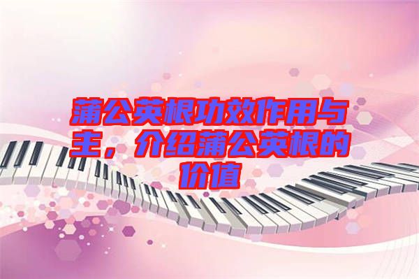 蒲公英根功效作用與主，介紹蒲公英根的價(jià)值