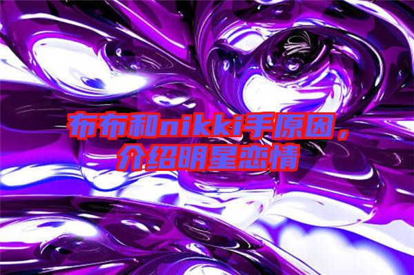布布和nikki手原因，介紹明星戀情