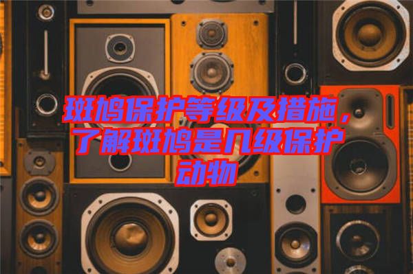 斑鳩保護等級及措施，了解斑鳩是幾級保護動物