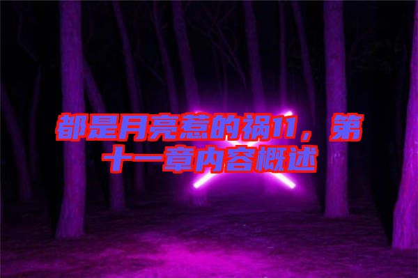都是月亮惹的禍11，第十一章內容概述