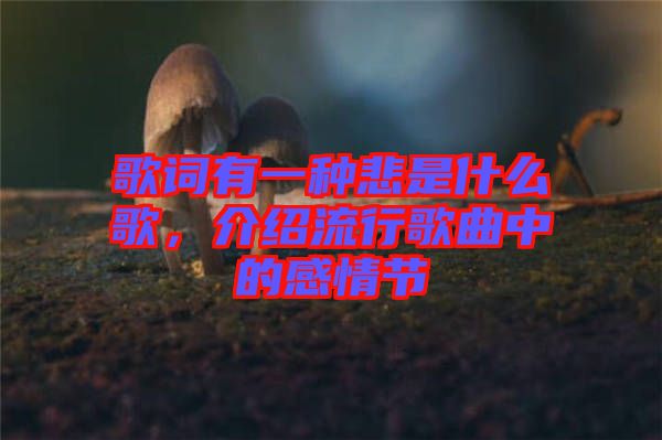 歌詞有一種悲是什么歌，介紹流行歌曲中的感情節