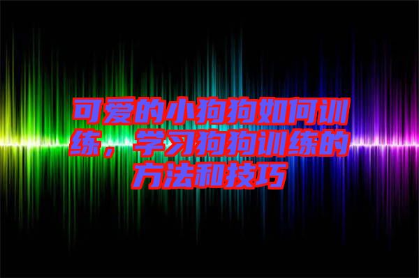 可愛的小狗狗如何訓練，學習狗狗訓練的方法和技巧