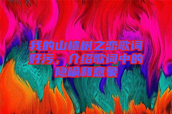 我的山楂樹(shù)之戀歌詞好污，介紹歌詞中的隱喻和意象