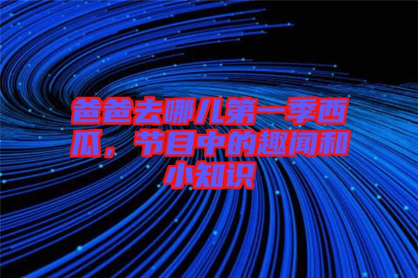 爸爸去哪兒第一季西瓜，節(jié)目中的趣聞和小知識