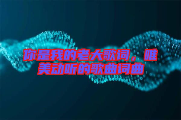 你是我的老大歌詞，唯美動聽的歌曲詞曲