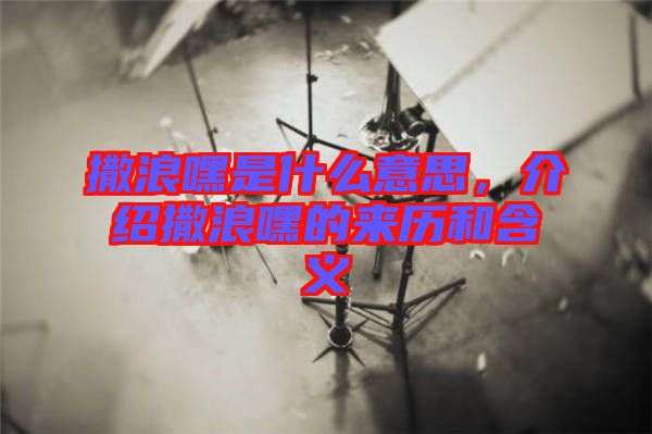 撒浪嘿是什么意思，介紹撒浪嘿的來歷和含義