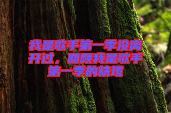 我是歌手第一季沒離開過，回顧我是歌手第一季的精現(xiàn)