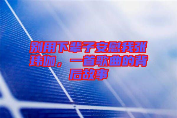 別用下輩子安慰我張瑋伽，一首歌曲的背后故事