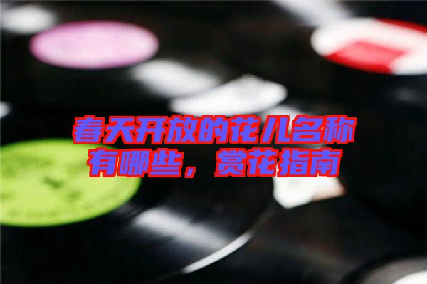 春天開放的花兒名稱有哪些，賞花指南