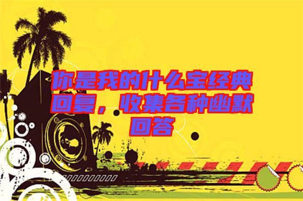 你是我的什么寶經典回復，收集各種幽默回答