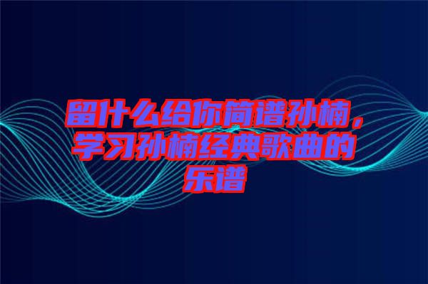 留什么給你簡譜孫楠，學習孫楠經典歌曲的樂譜
