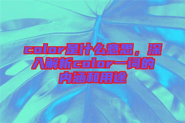 color是什么意思，深入解析color一詞的內涵和用途