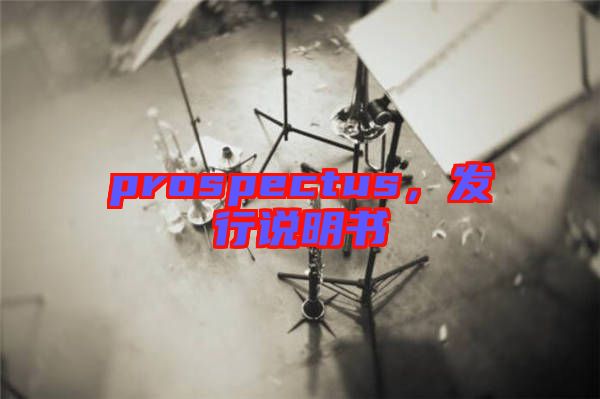prospectus，發行說明書