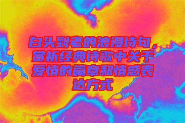 白頭到老的浪漫詩句，賞析經典詩歌中關于愛情的篇章和情感表達方式