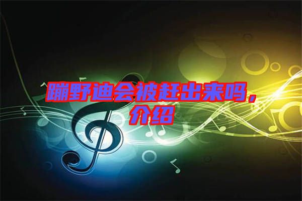 蹦野迪會(huì)被趕出來(lái)嗎，介紹